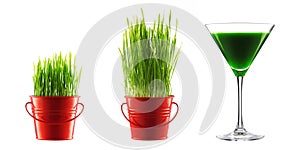 Green grass in decorative pot and bio cocktail isolated on white