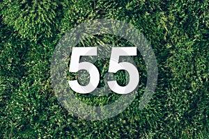 Green grass, digit ninety-five. Birthday greeting card with inscription 55. Anniversary concept. Top view. White numeral