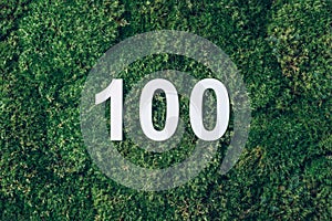 Green grass, digit one hundred. Birthday greeting card with inscription 100. Anniversary concept. Top view. White