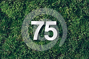 Green grass, digit seventy-five. Birthday greeting card with inscription 75. Anniversary concept. Top view. White