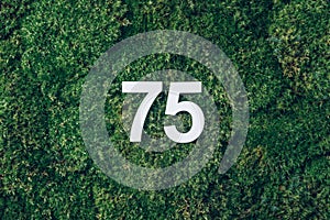 Green grass, digit seventy-five. Birthday greeting card with inscription 75. Anniversary concept. Top view. White