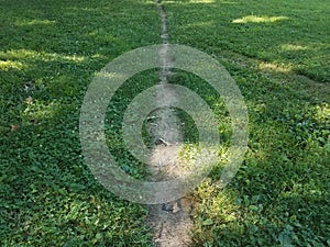 Green grass with a dirt path photo