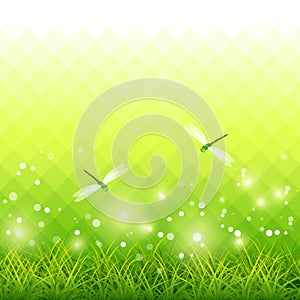 Green Grass Dragonfly Season Background Vector