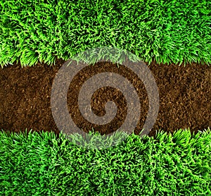 Green grass and earth Background