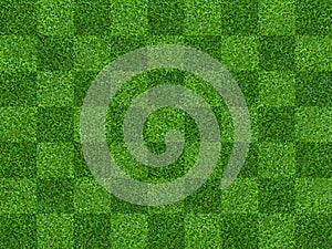 Green grass field background for soccer and football sports. Green lawn pattern and texture background. Close-up