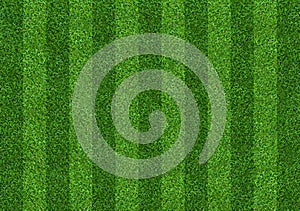 Green grass field background for soccer and football sports. Green lawn pattern and texture background. Close-up