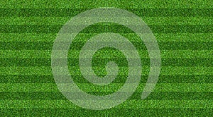 Green grass field background for soccer and football sports. Green lawn pattern and texture background. Close-up