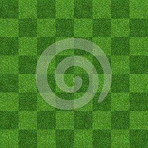 Green grass field background for soccer and football sports. Green lawn pattern and texture background. Close-up