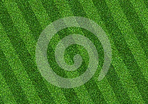 Green grass field background for soccer and football sports. Green lawn pattern and texture background. Close-up