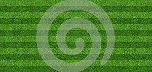 Green grass field background for soccer and football sports. Green lawn pattern and texture background. Close-up