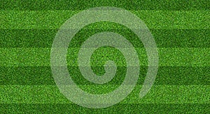 Green grass field background for soccer and football sports. Green lawn pattern and texture background. Close-up