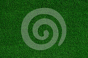 Green grass field background, texture, pattern