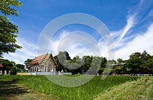 Green grass field and blue cloud sky