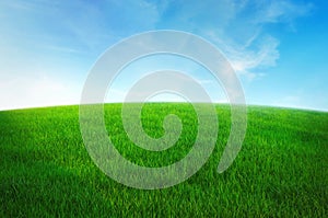 green grass field with blue sky ad white cloud. nature landscape background