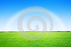 Green grass field and blue sky with rainbow