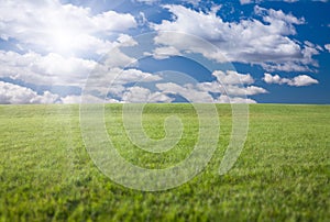 Green Grass Field, Blue Sky and Sun