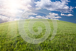 Green Grass Field, Blue Sky and Sun