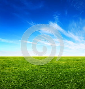 Zelená tráva a jasný modrá obloha 
