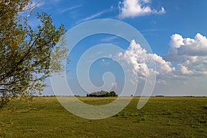 Green grass field and bright blue sky. Background.