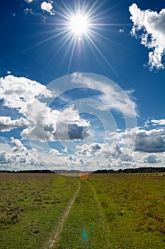 Green Grass Field in Countryside Under Midday Sun