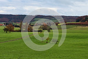 Green grass in a field with a dirt road and colorful trees