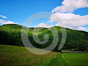 Green grass field and forested hill with blue skies photo