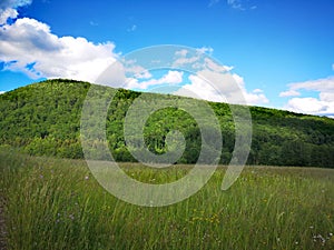 Green grass field and hill with blue sky and white clouds