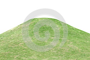 Green grass field hill with dried leaves isolated on white background , clipping path