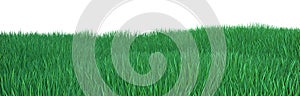 Green grass field with hills. Isolated landscape. 3D rendering.