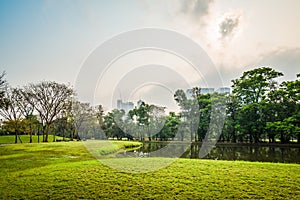 Green grass field with lake in Public Park