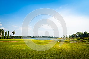 Green grass field with lake in public park