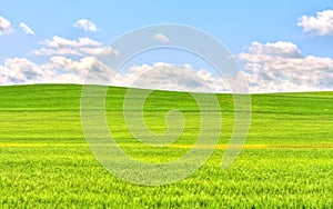 Green grass field landscape under blue sky