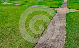 Green grass field with line pattern texture background