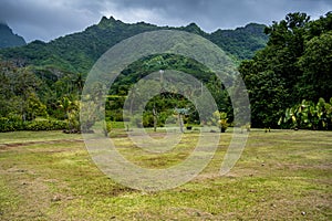 Green Grass Field with Mountain in the Background