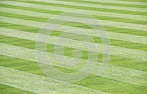 Green Grass Field Mowed with idiagonal stripes