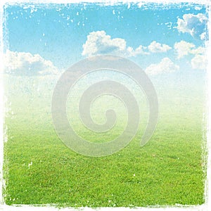 Green grass field , nature background