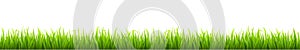 Green grass, field, nature eco background - for stock