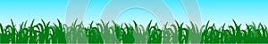 Green grass, field, nature eco background - vector