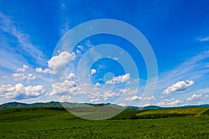 Green grass field on small hills and blue sky with clouds.