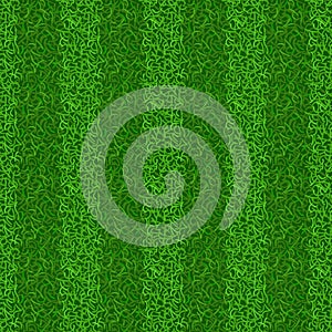 Green grass field texture. Seamless striped lawn turf