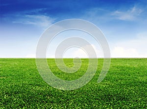 Green grass field under clear blue sky and white clouds