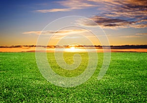 Green grass field under sunset sky in summer