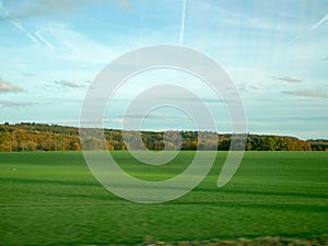 The Green Grass in Field