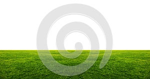 Green grass field with white copyspace photo