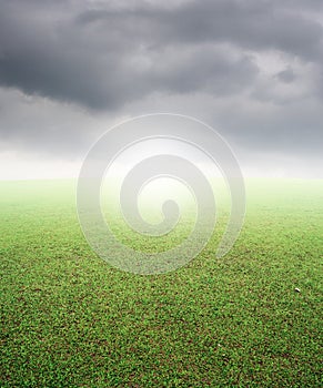 Green grass fields and beautiful rainclouds photo