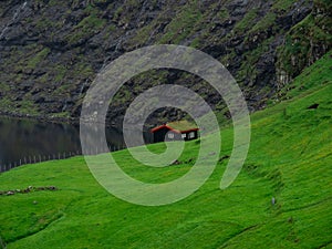 Green grass fields and traditional grass roofed house. Saksun village