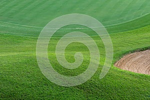 Green grass flied with sand hold photo