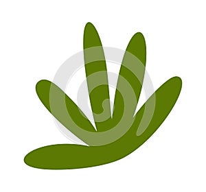 Green grass floral design element