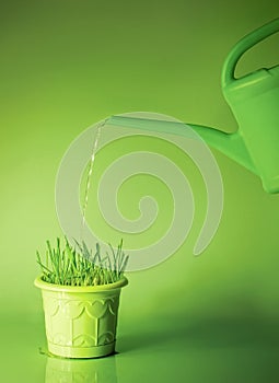 Green grass in flowerpot and watering can photo