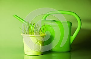 Green grass in flowerpot and watering can
